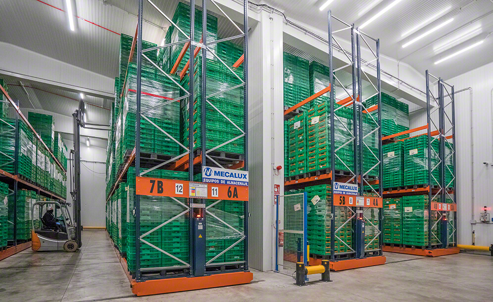 Entrepôt sectorisé de Grupo Alimentario Citrus à température réfrigérée